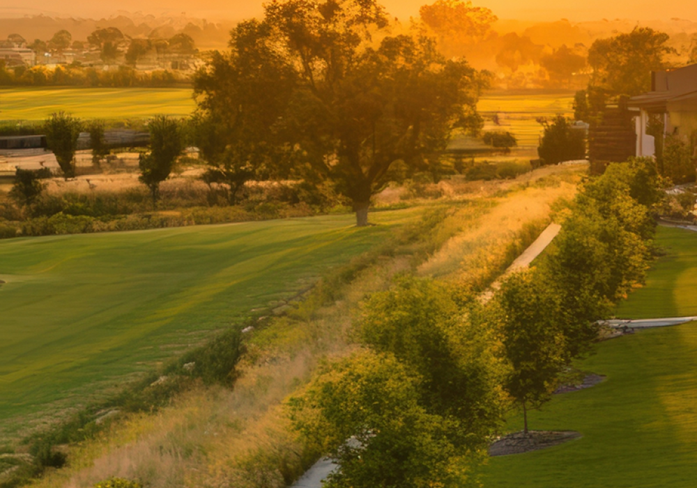 Natural and historic environment