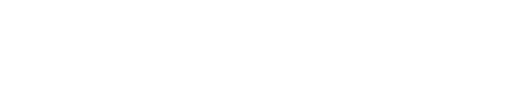 Brighton STM Group